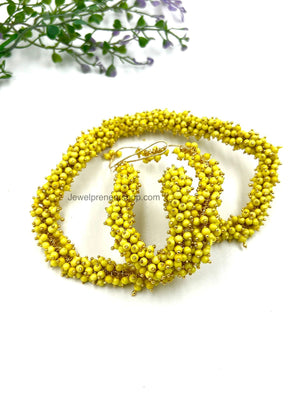 Yellow Lorials - 100 Gram