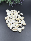 Natural White Cowrie - 100 Gram